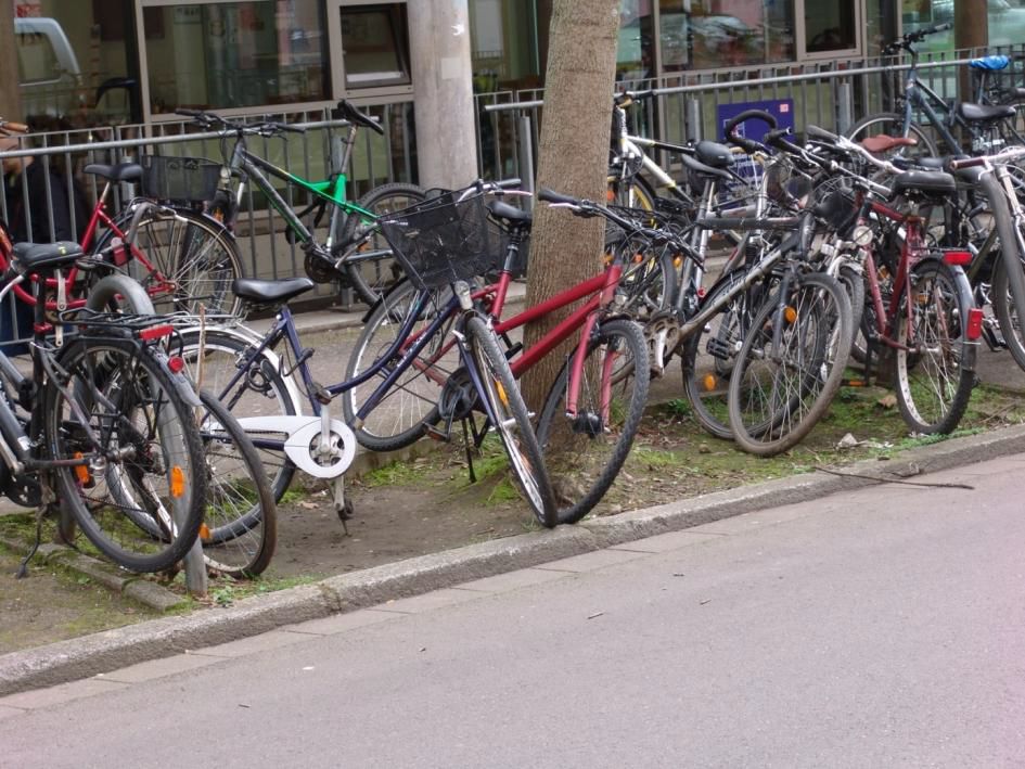 Die Baumscheiben entlang der Wentzingerstraße auf der Westseite des Freiburger Hauptbahnhofs
werden als Fahrradabstellplatz missbraucht. Das führt zu einer starken Verdichtung
des Wurzelraums.